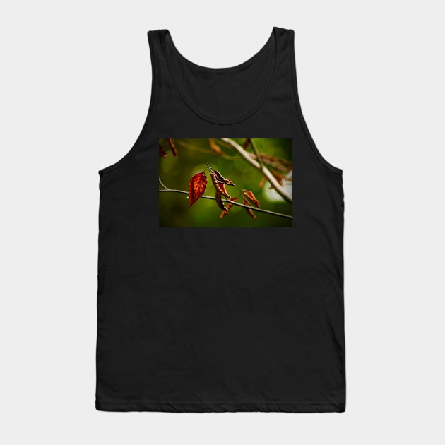 Dry Red Leaves Tank Top by Rebekah Slick